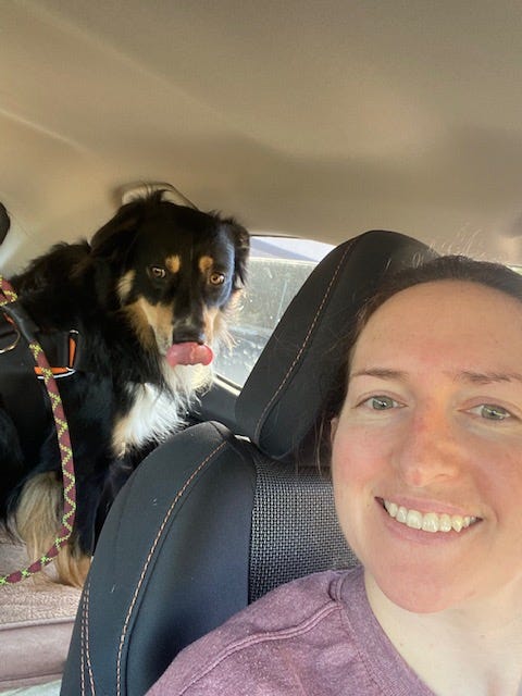 dog in car with person smiling