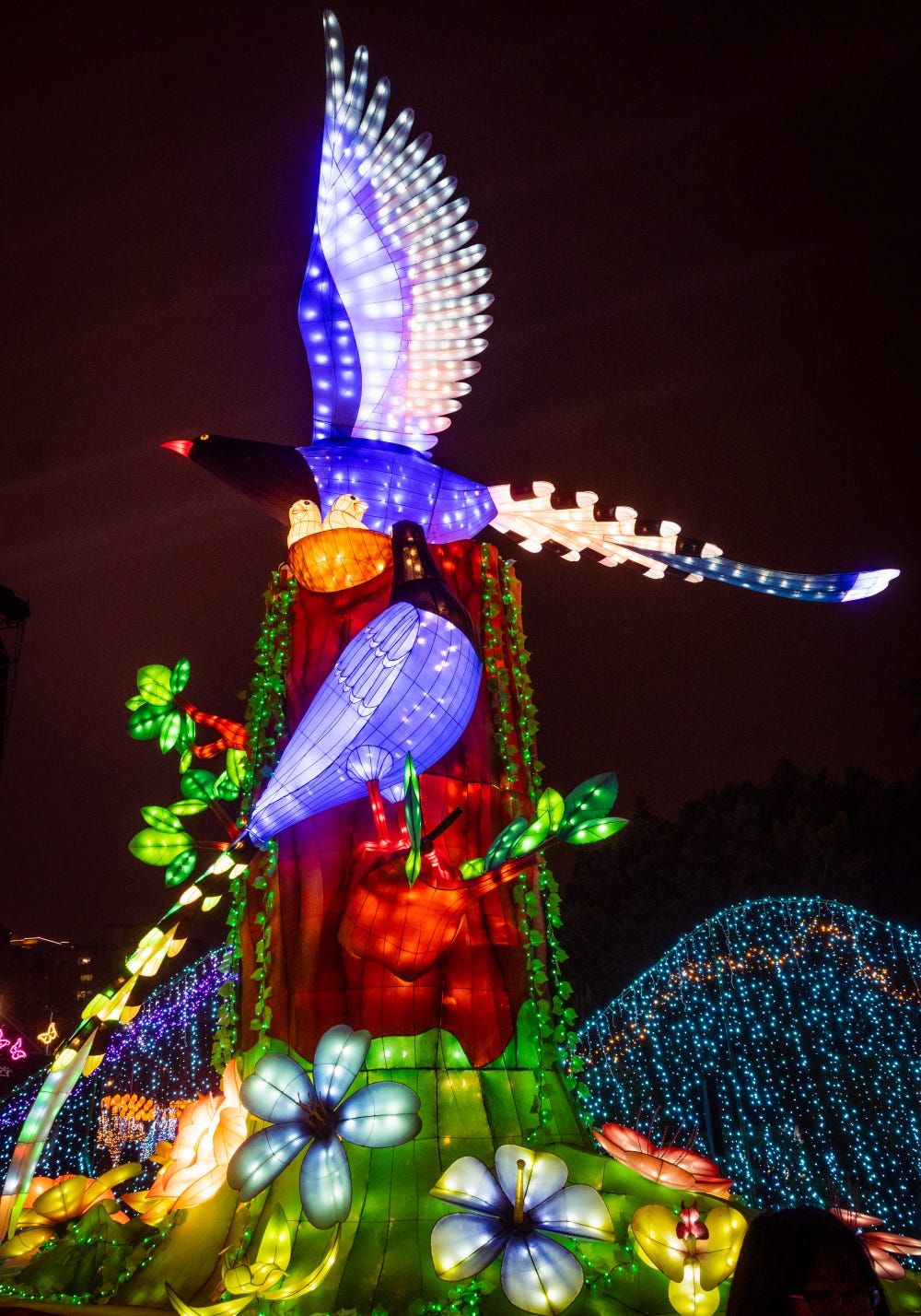 "Starting from the Heart," a giant lantern of a Taiwan blue magpie in flight at the 2023 Taiwan Lantern Festival