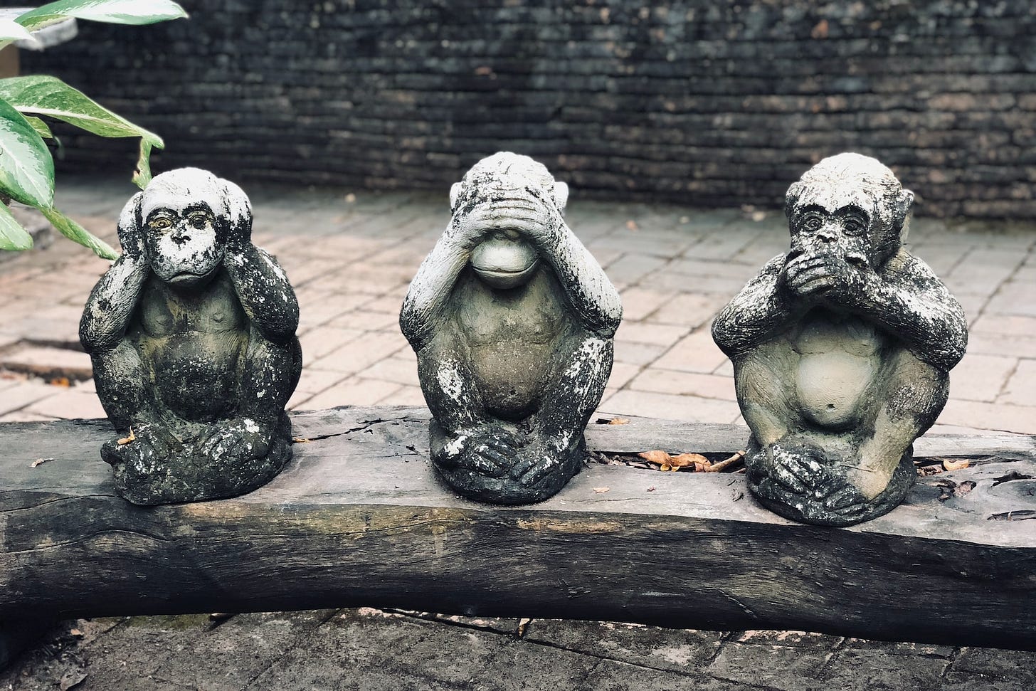Tre statue di scimmie appoggiate su un pezzo di legno: una si copre le orecchie, una si copre gli occhi, una si copre la bocca.