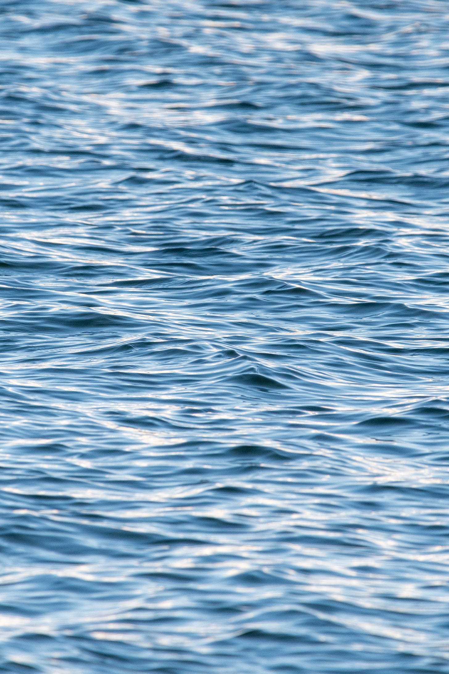 A photograph of a tranche of ocean water, slate blue with finicky, angular ripples