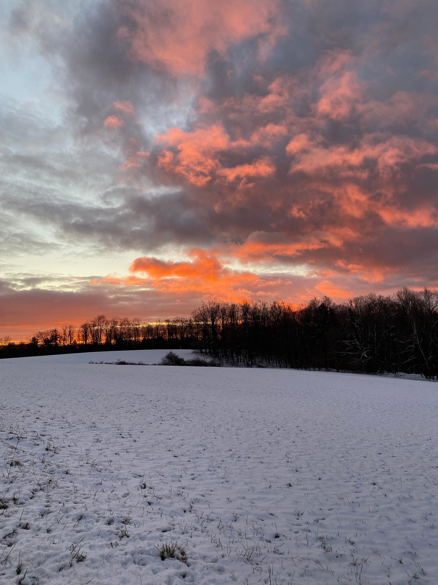 View of a brilliant display of dramatic pink, blue, purple, and orange clouds above a line of trees along a snowy field.