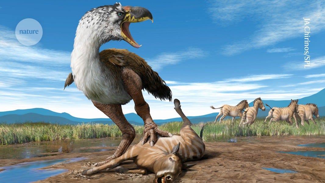 Huge carnivorous 'terror bird' rivalled the giant panda in size
