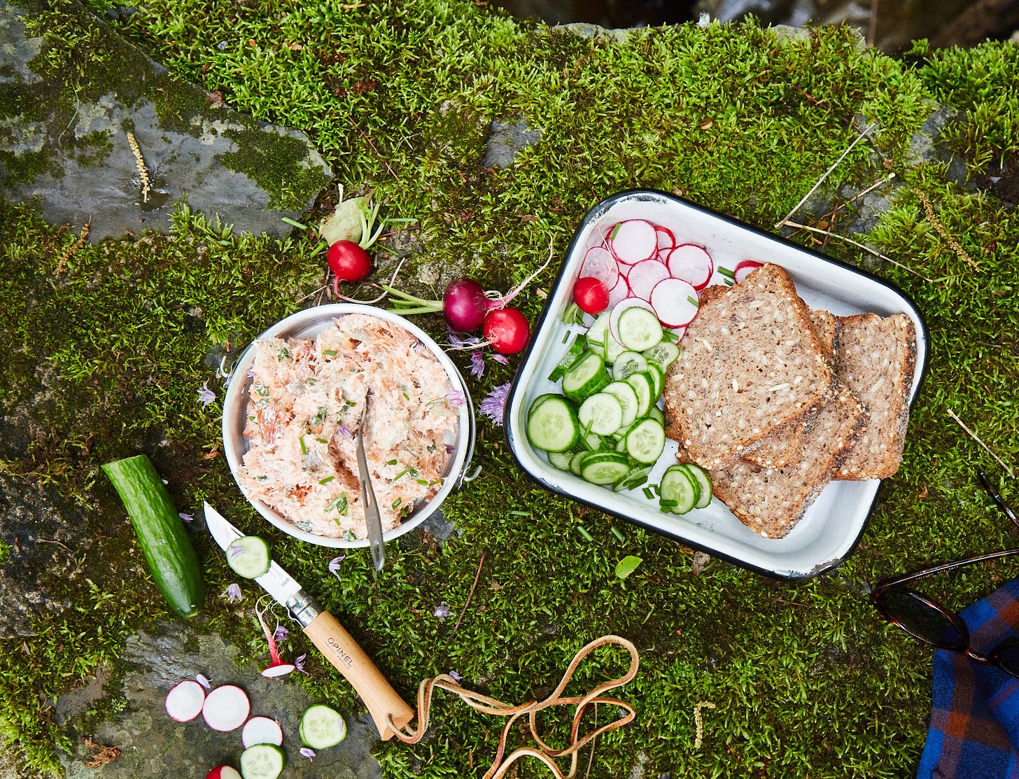 Bowl of salmon cream cheese next to dish with sliced cucumbers, radishes, and bread, on a mossy stone wall