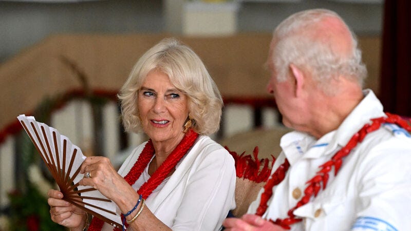 Britain's Queen Camilla pulls out of engagements after falling ill with  chest infection