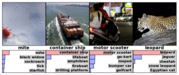 Images of a mite, a container ship, a motor scooter and a leopard, each with an algorithm's top 5 guesses at what it is. Each one has been correctly identified.