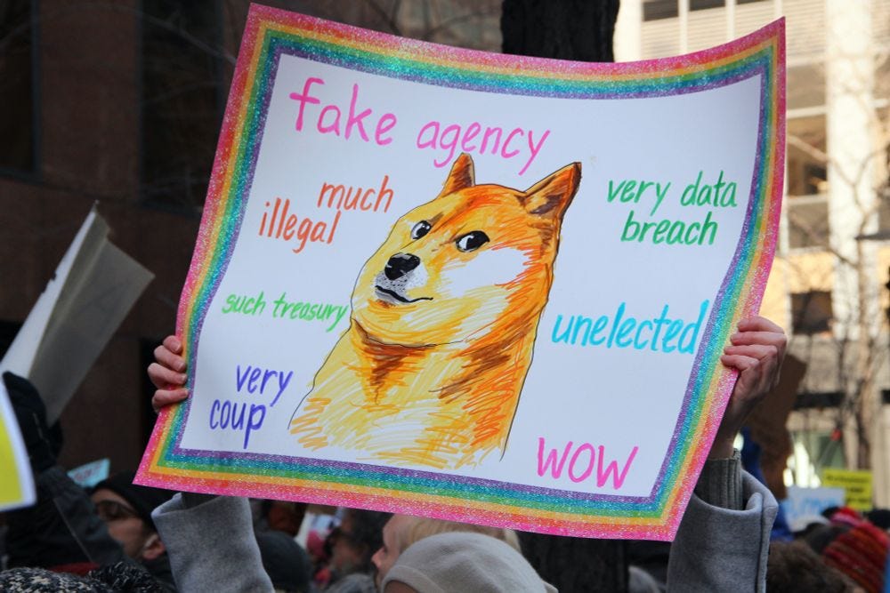 hand drawn protest sign showing the doge dog with a rainbow border and words around it reading "fake agency / much illegal / very data breach / such treasury / unelected / very coup / wow"