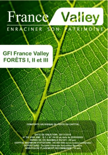 Le GFI France Valley - Investir dans la forêt française - CM conseil