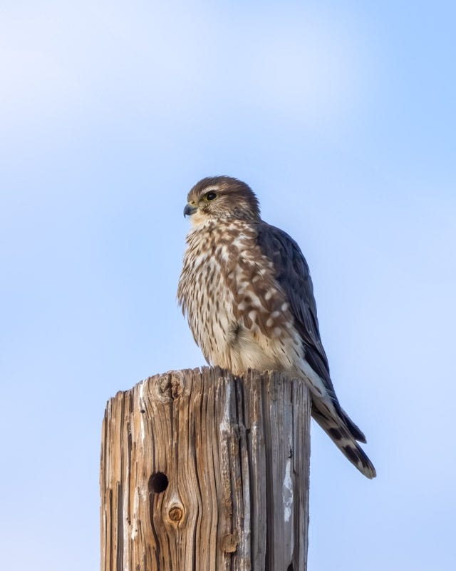 20250117-SCF-64-Edit.jpg