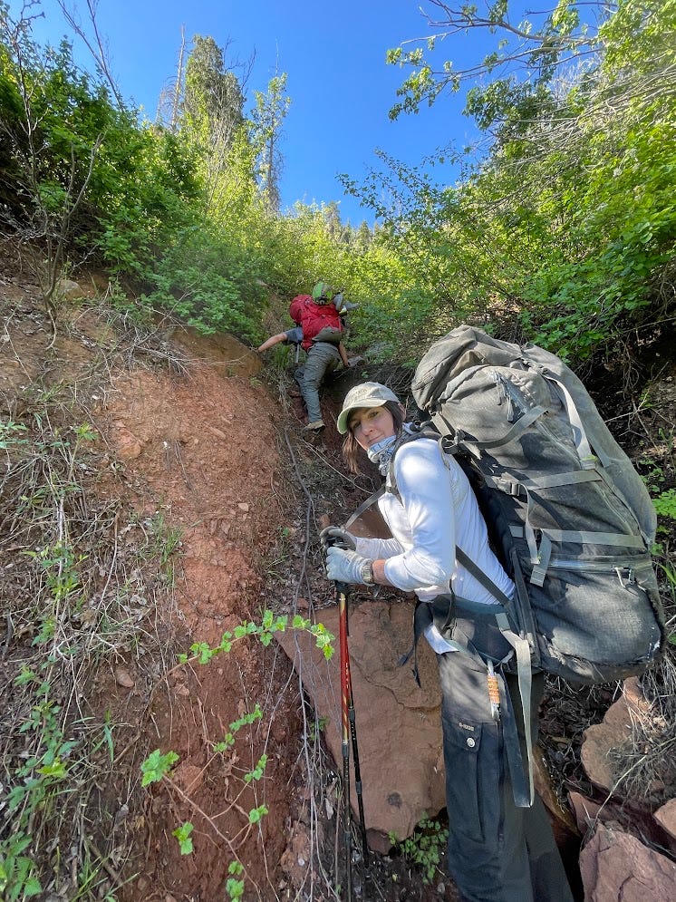 2 hikers in steep, vegetated, off-trail terrain