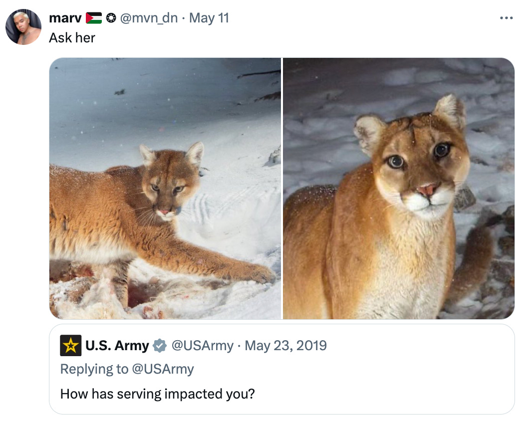 a tweet from the US army asking "How has serving impacted you" and the reply from @mvn_dn that says "Ask her" and features pictures of the mountain lion