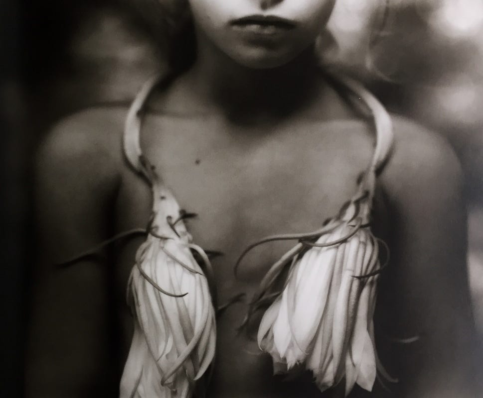 Sally Mann Immediate Family - Film Still Photography