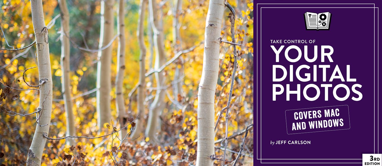 A photo of white birch trees with yellow leaves, and the cover of the book Take Control of Your Digital Photos superimposed on the right side of the image.