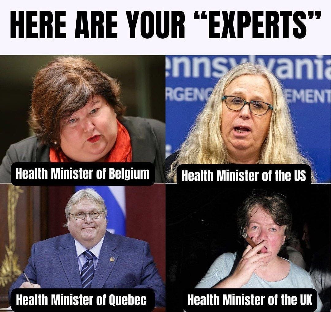 "tRuSt tHe eXpErTs" : r/bestconspiracymemes