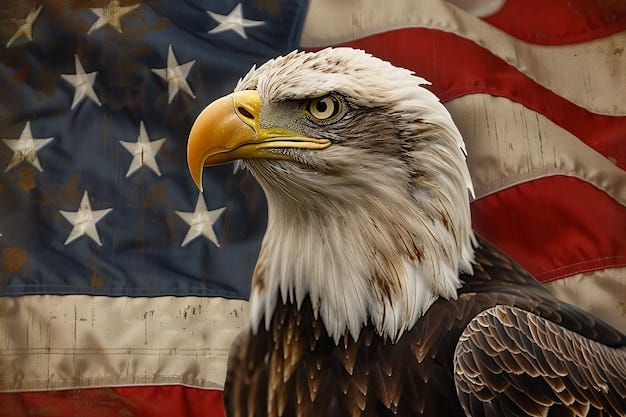 American Flag Eagle Images - Free Download on Freepik