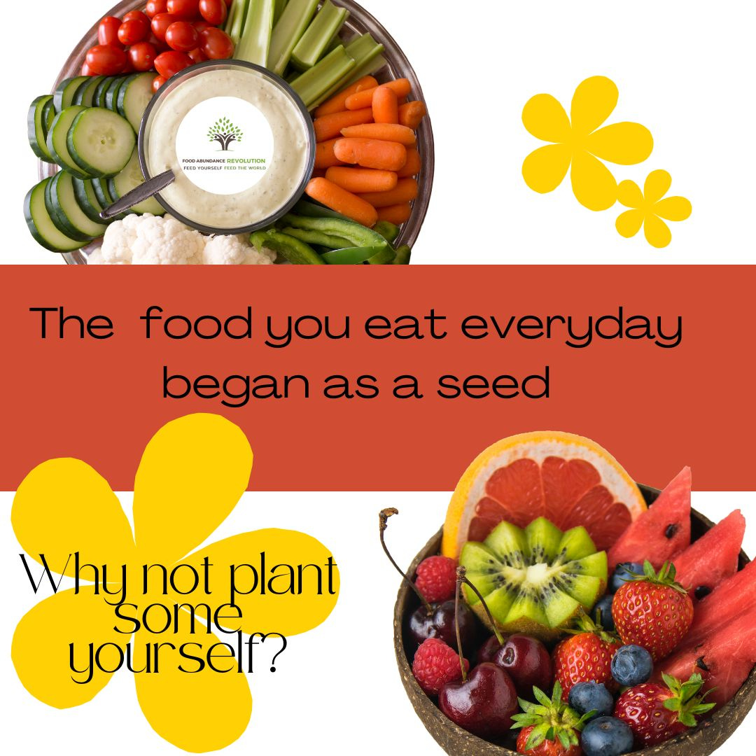 A veggie platter with dip, and a bowl of mixed fruit