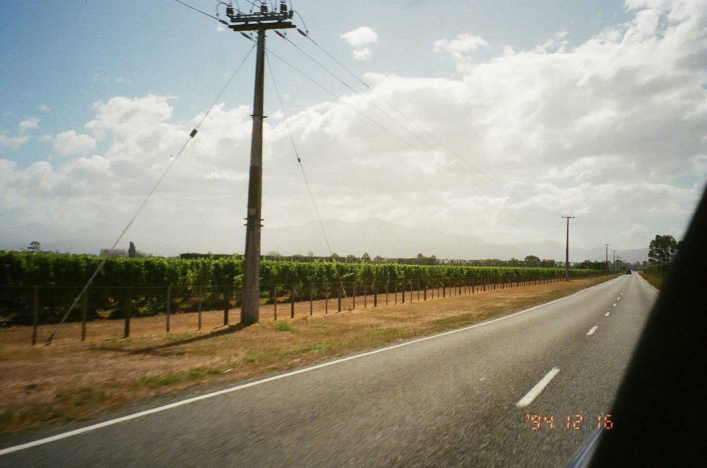 What is natural wine blog post by food and travel writer Courtney Jill Bishop.