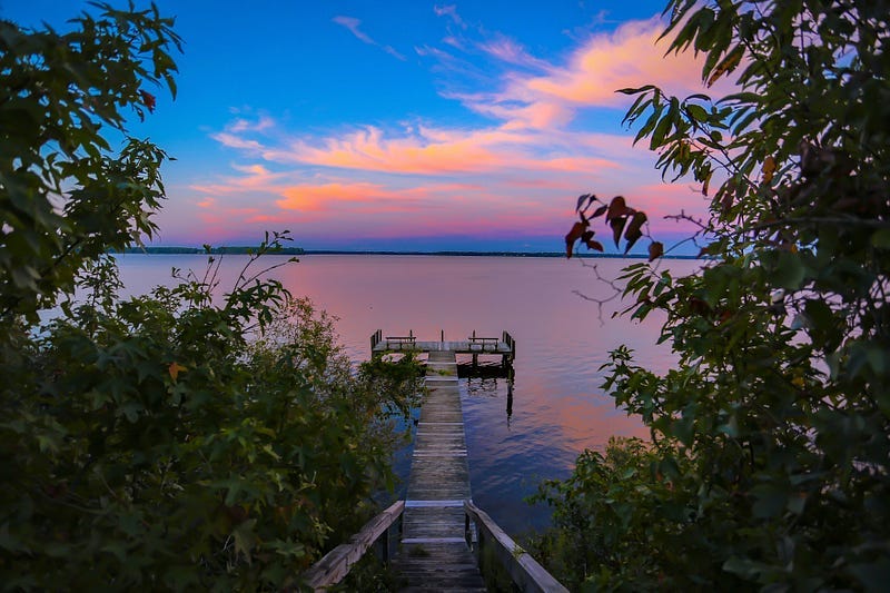 Scenic view, trees, blue sky and a tranquil lake.