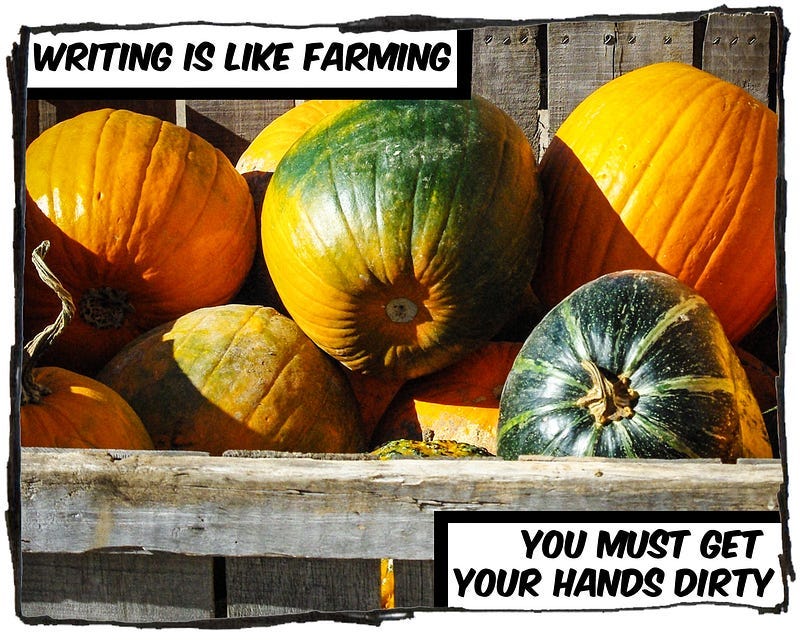 Picture of some pumpkins in a bin. The caption reads, “Writing is like farming, you must get your hands dirty.”
