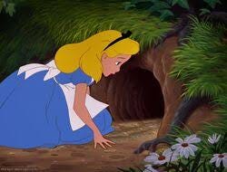 Rabbit Hole | Alice in Wonderland Wiki ...