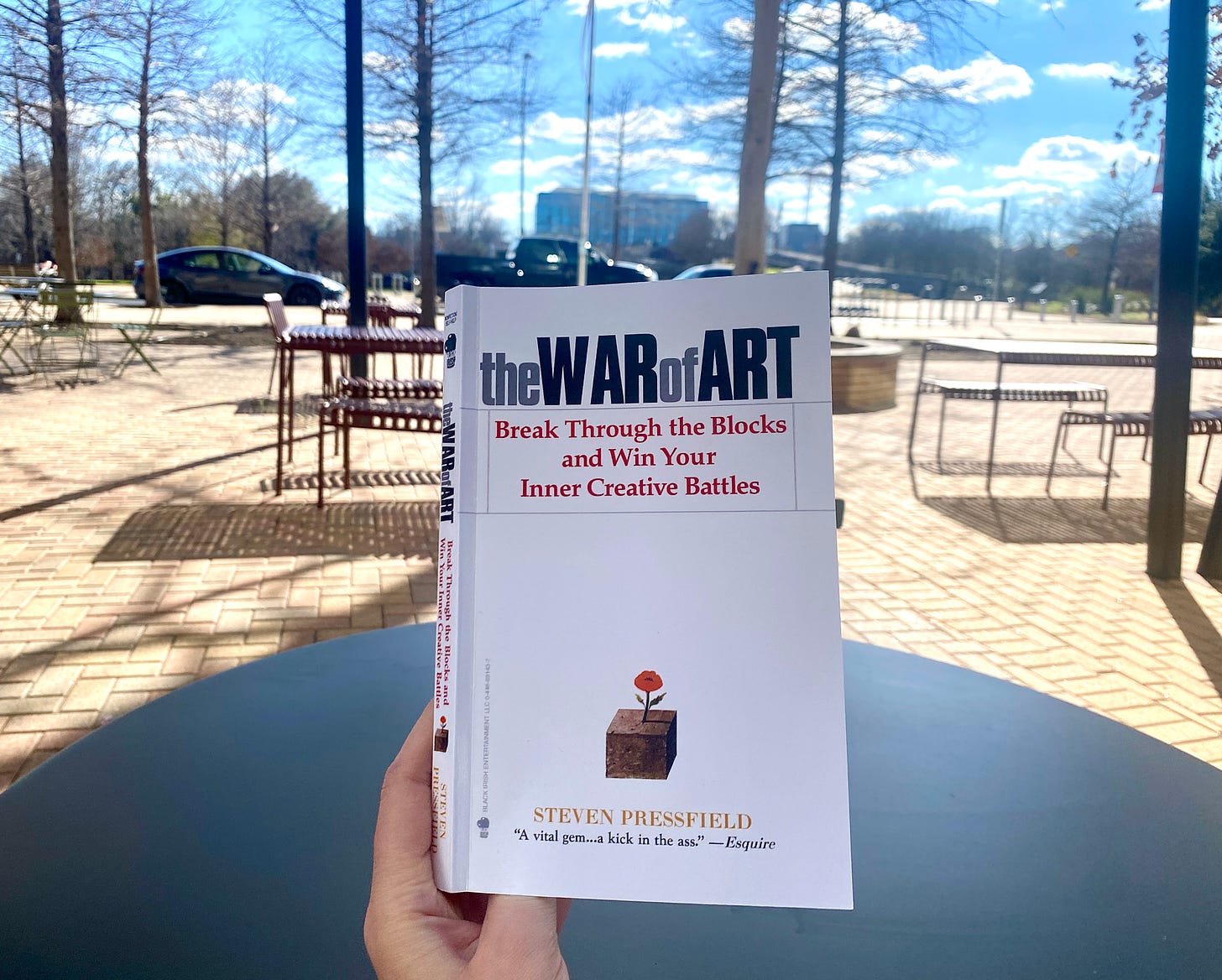 The War Of Art by Steven Pressfield.