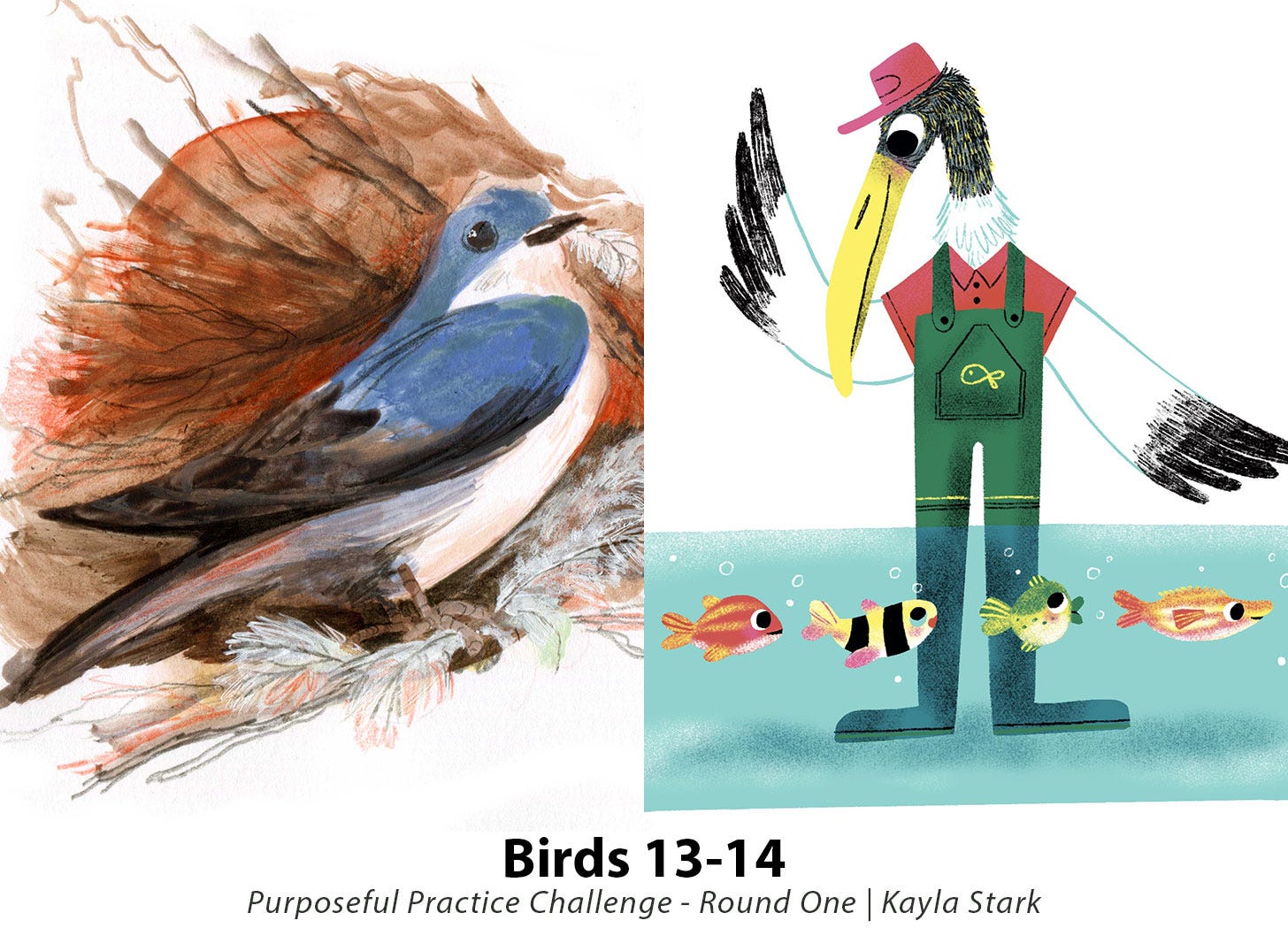birds 13-14 purposeful practice challenge kayla stark