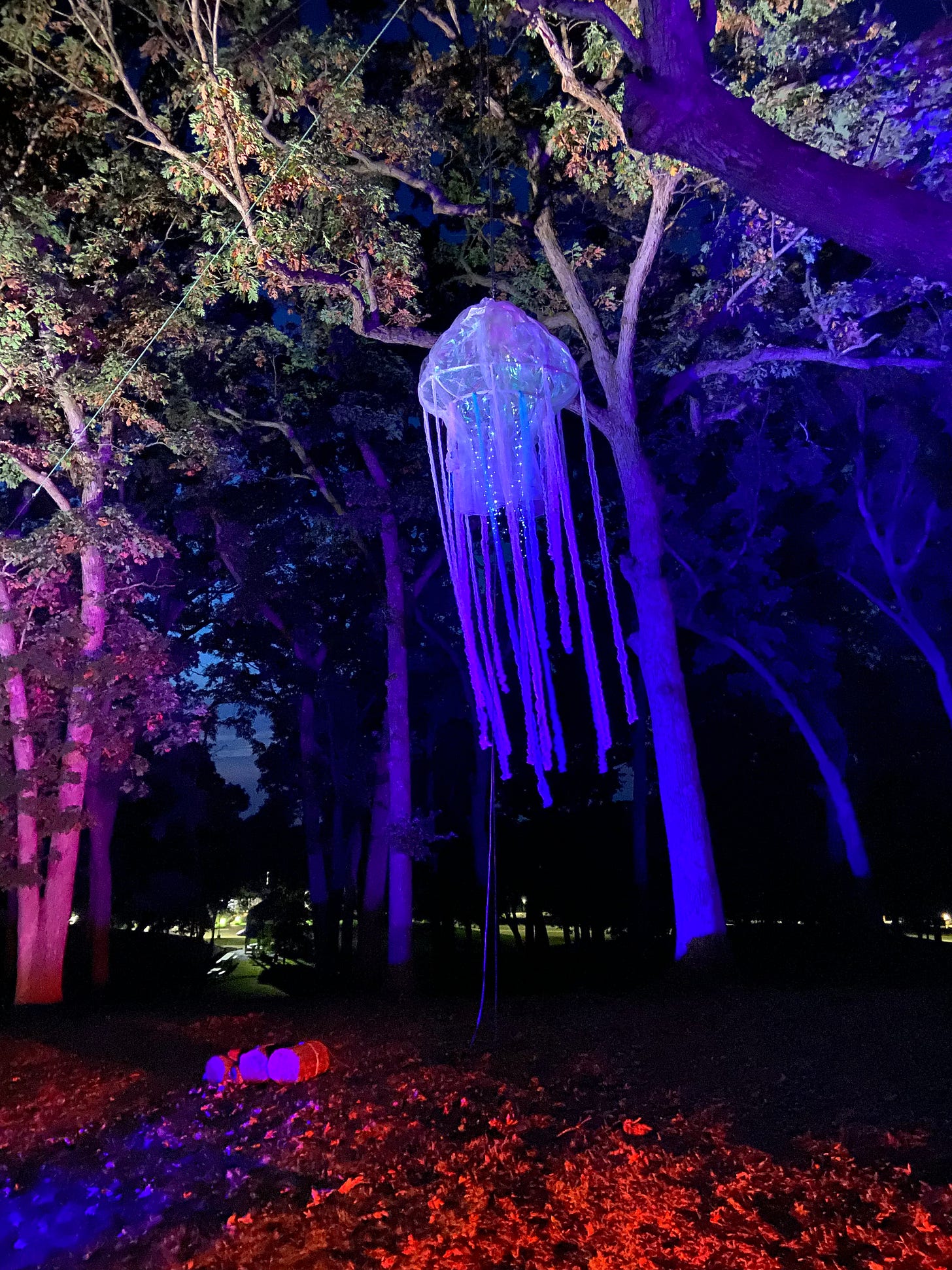 jellyfish installation art hanging from a tree