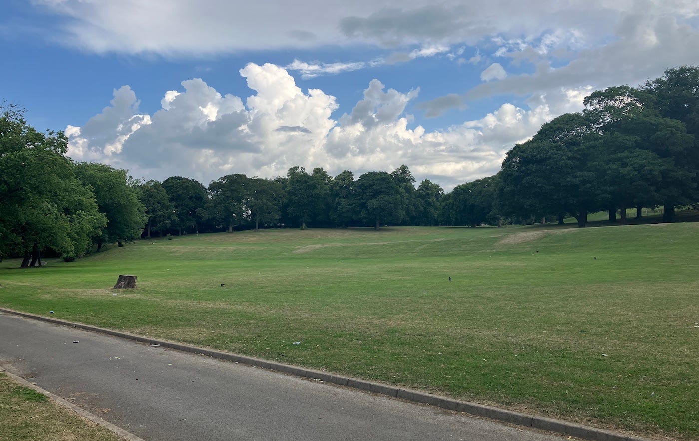 Hills and trees in the park