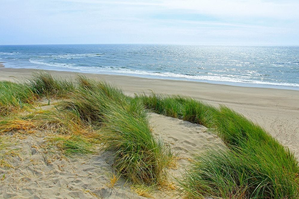 Oregon Dunes Photos Images | Free Photos, PNG Stickers, Wallpapers &  Backgrounds - rawpixel