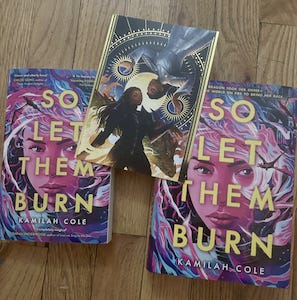 paperback and hardcover of So Let Them Burn with art