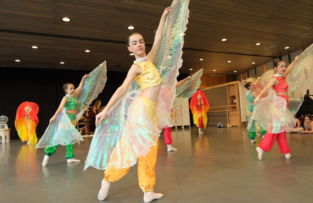 Intitulé «Aladdin au pays des Mille et Une Nuits», le 22e spectacle de l’AFJD mettra en scène plus de 50 danseuses et danseurs âgés de 10 à 18 ans.