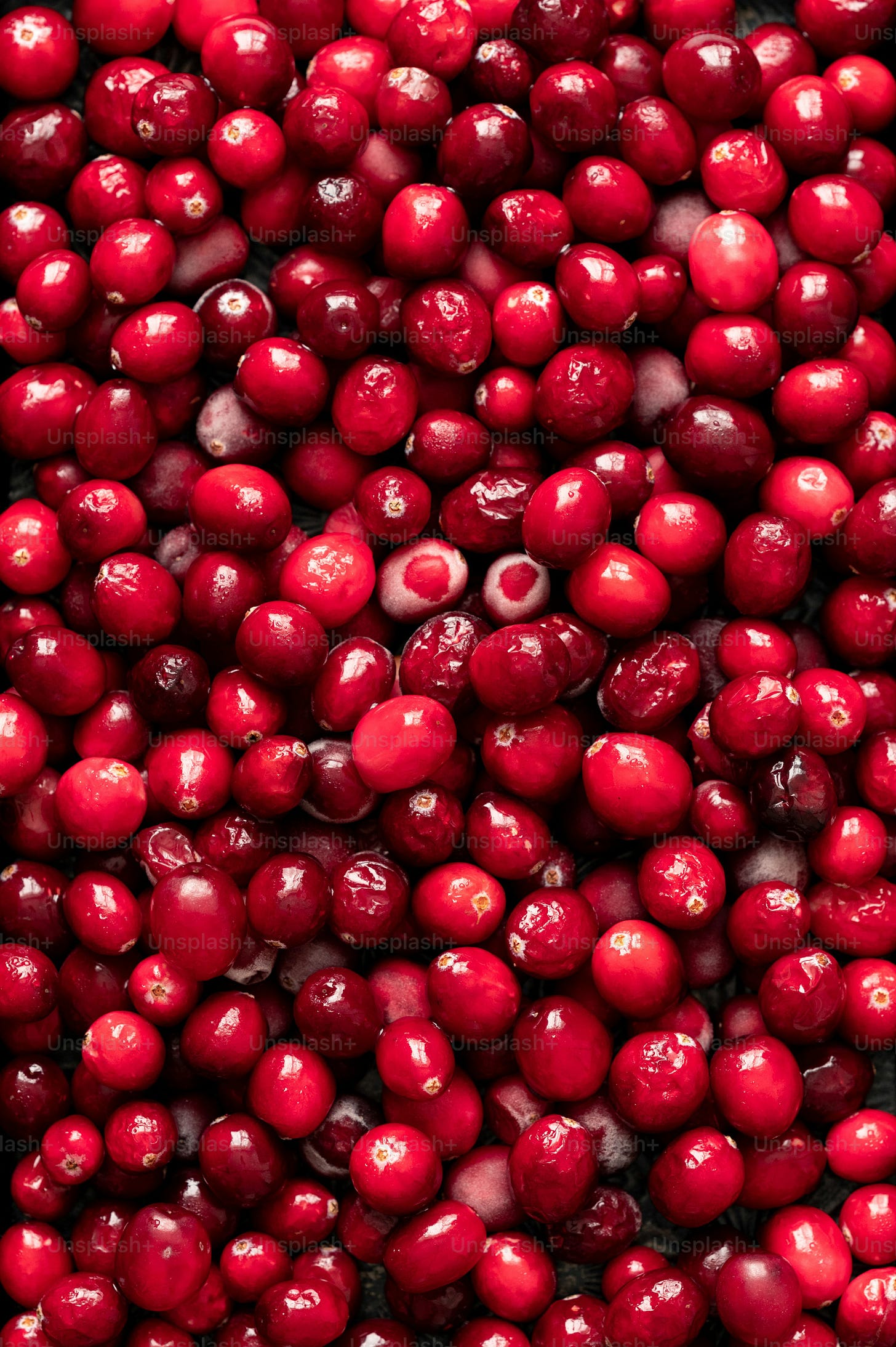 a pile of cranberries sitting next to each other