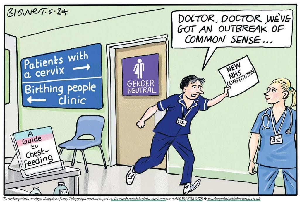 cartoon with a nurse running with NEW NHS CONSULTATION document shouting 'doctor doctor we've got an outbreak of common sense' while a 'guide to chest-feeding' in trans colours sits on the table, and a sign points to patients with a cervix and birthing people clinics