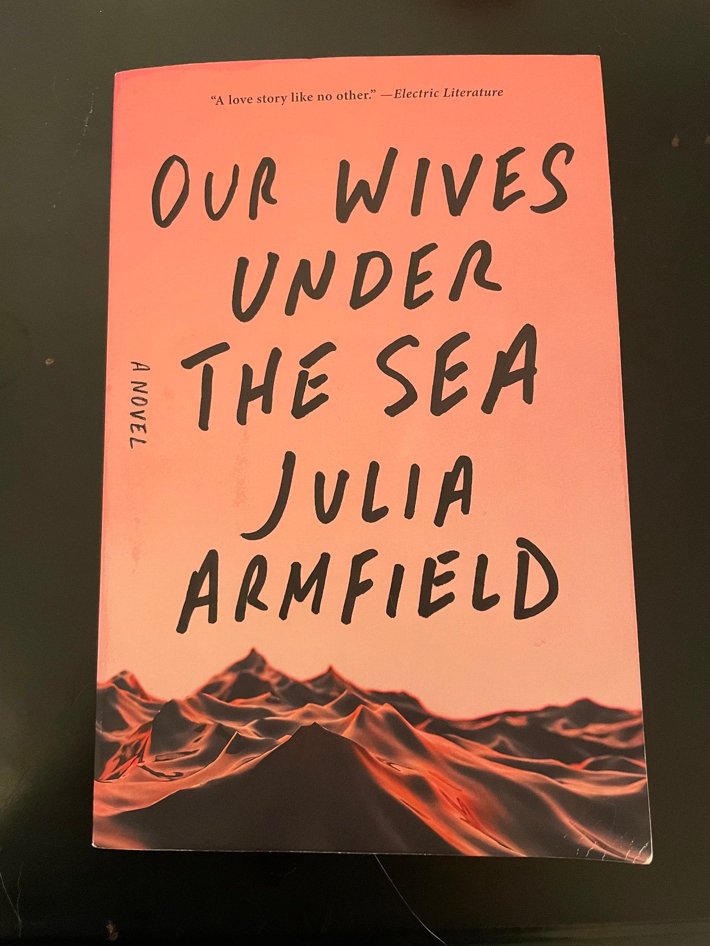 book: 'Our Wives Under The Sea' by Julia Armfield