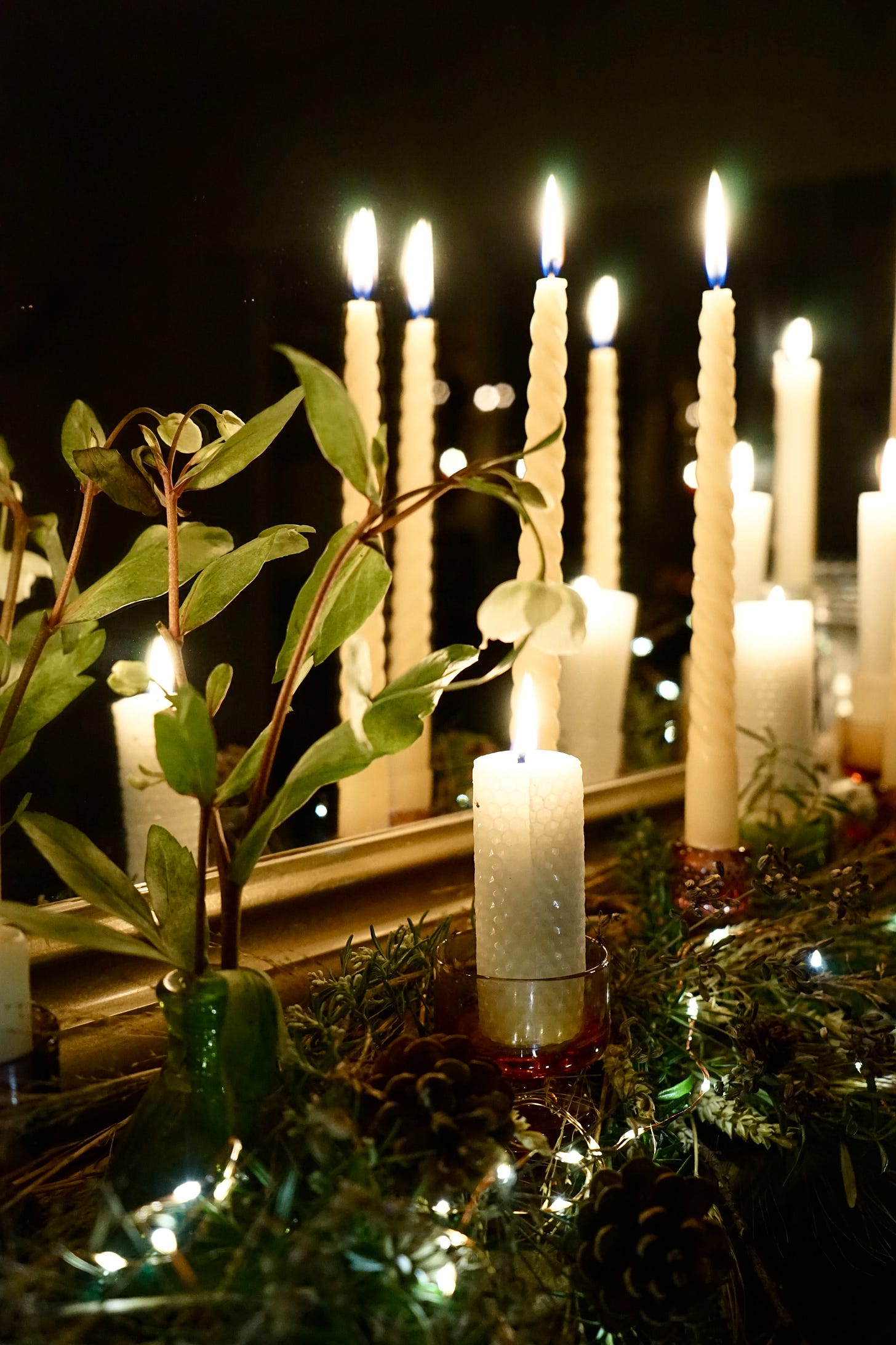 candlelight and green foliage in front of a mirror