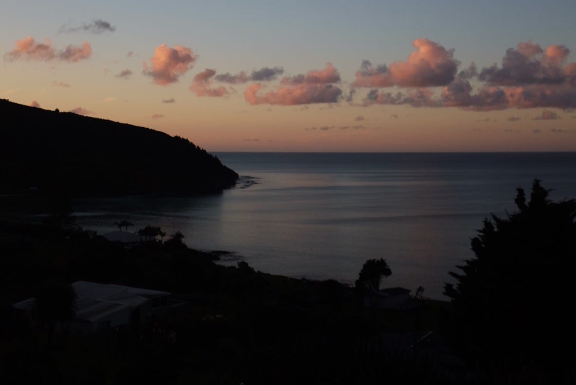 Hannah's photo of Ahipara, taken at sunset. Pink clouds sit above a dark blue sea, with dark-silhouetted headland to the right, and the dark outline of a tree to the right.