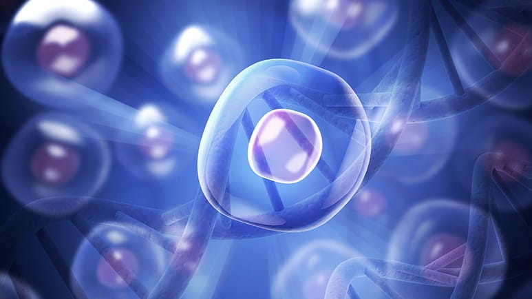 restoring cellular energy part 1