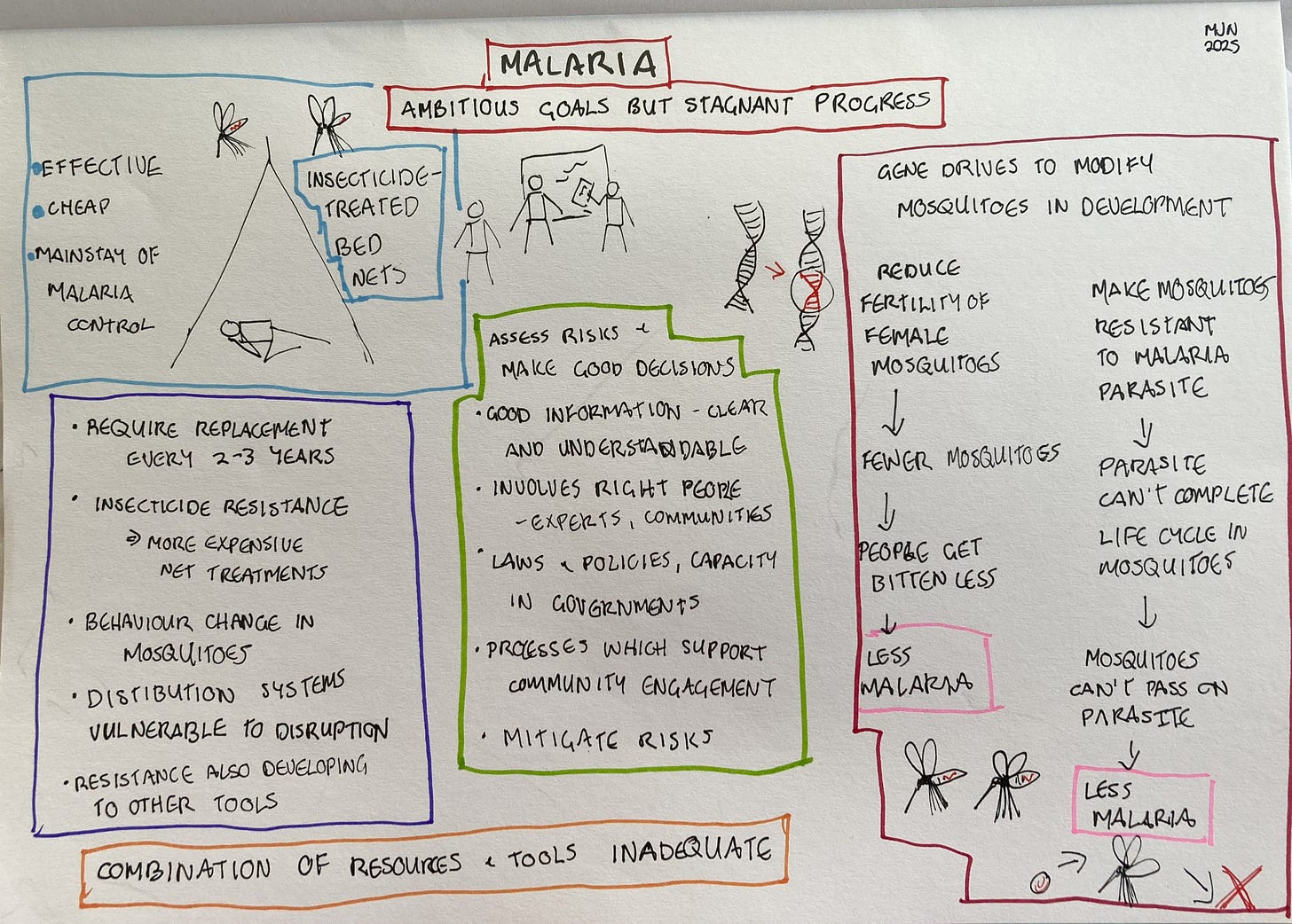 A diagram covering the main points about bed nets, gene drives and good decision-making