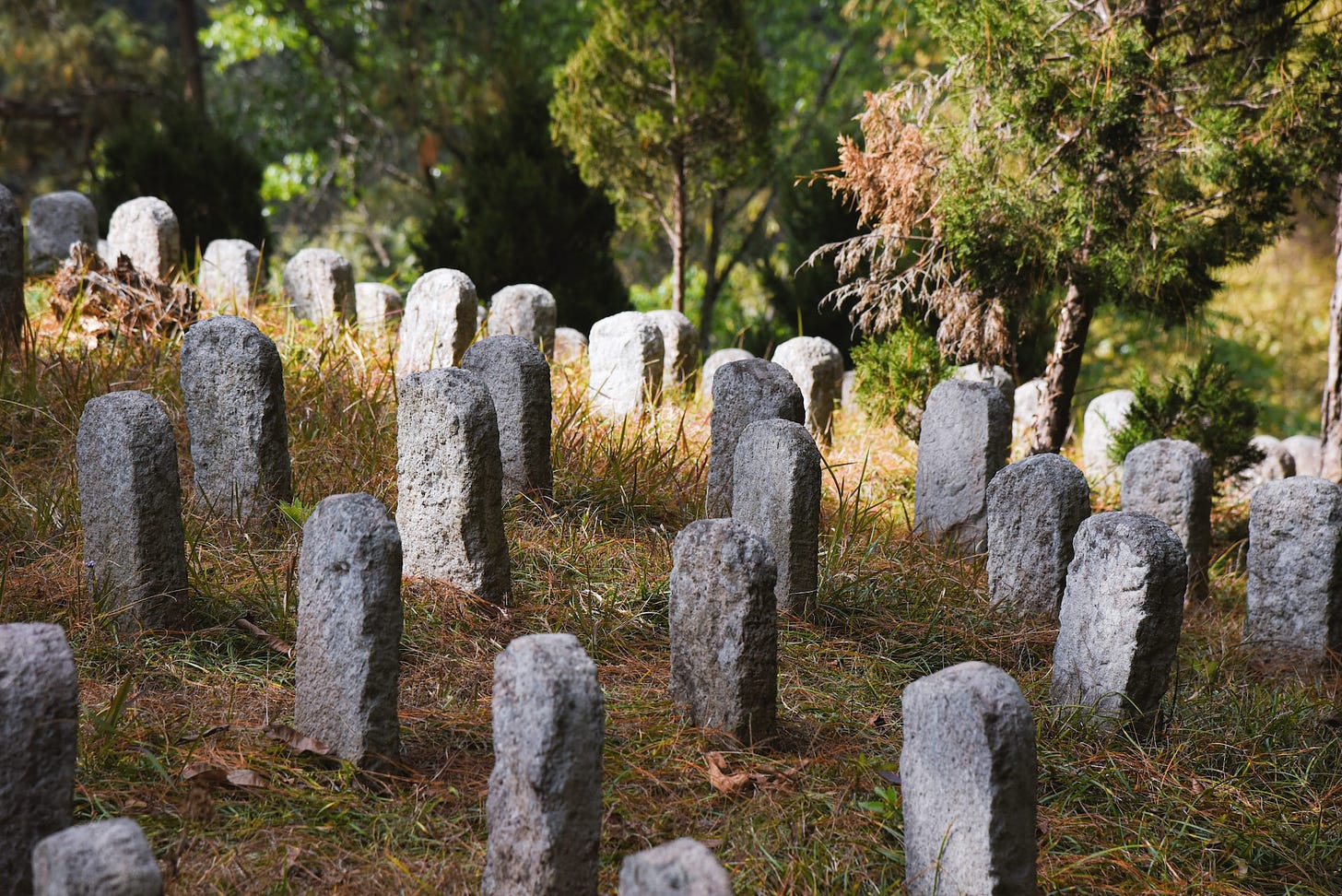 Graveyard sunlight - Photo by Luna Wang on Unsplash