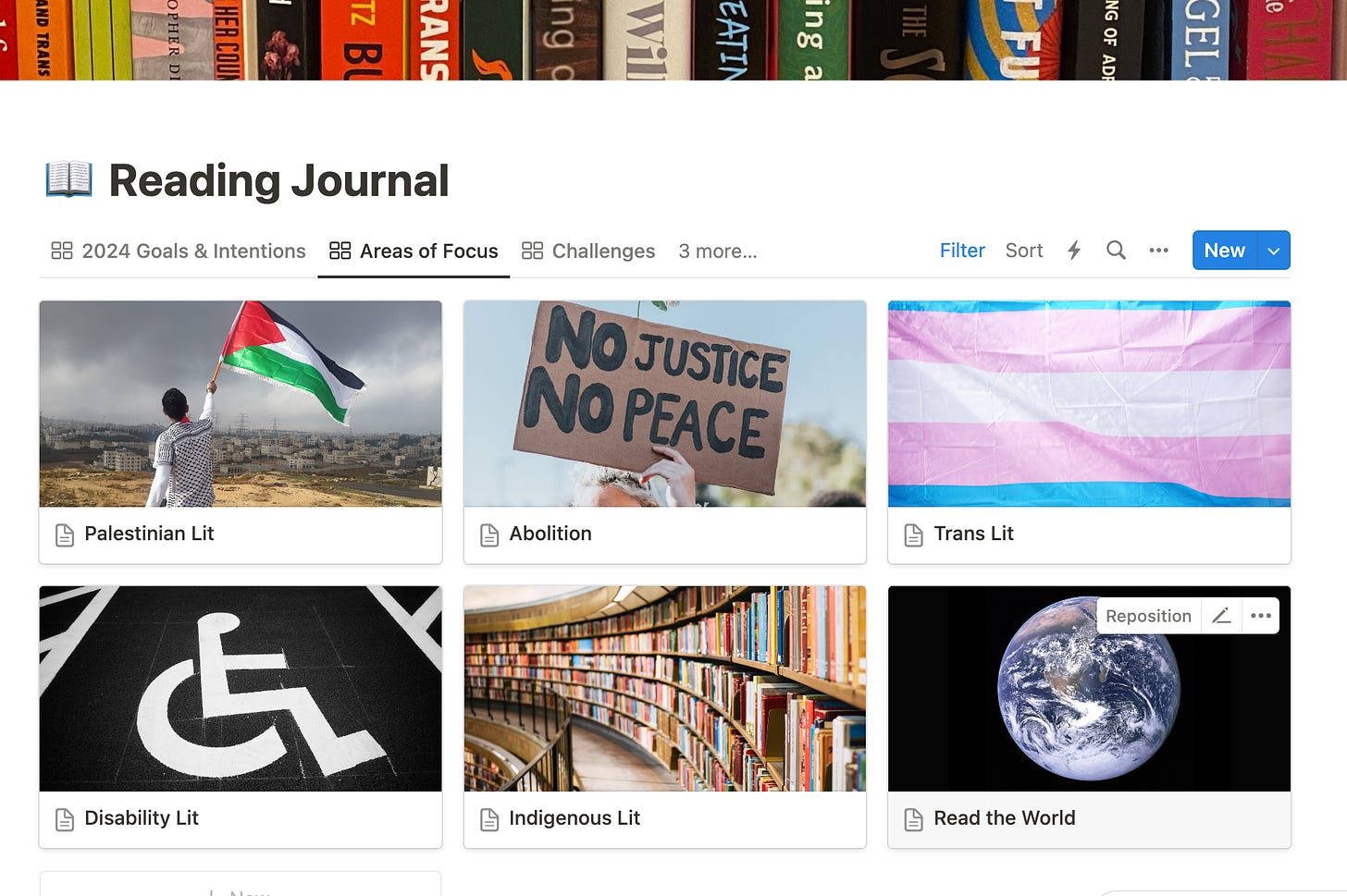 A screenshot of my Notion reading journal, showing six small cards displaying different areas of focus, each with a related image (a Palestinian flag, trans flag, map of the world, etc). 