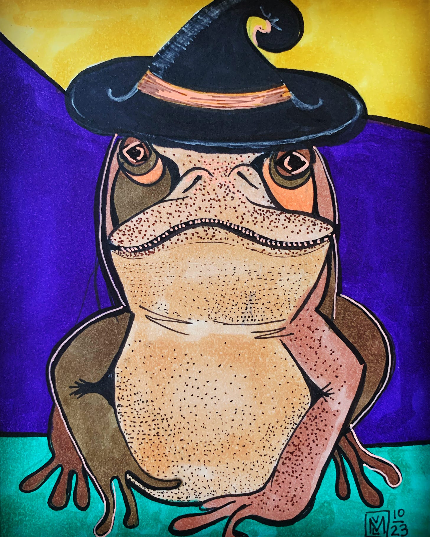illustration of a brown toad in a witch's hat