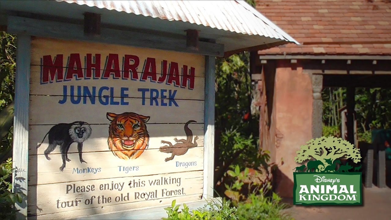 Maharajah Jungle Trek at Disney's Animal Kingdom - Walk-Through Animal  Exhibit - YouTube