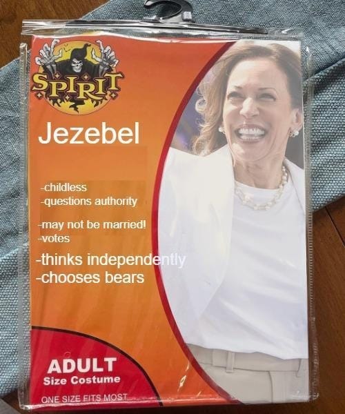 Spirit Halloween package with picture of Kamala Harris and name "Jezebel"