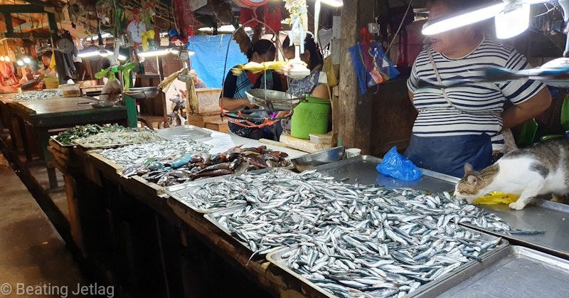 A picture of the Coron Fish market , Palawan, Philippines