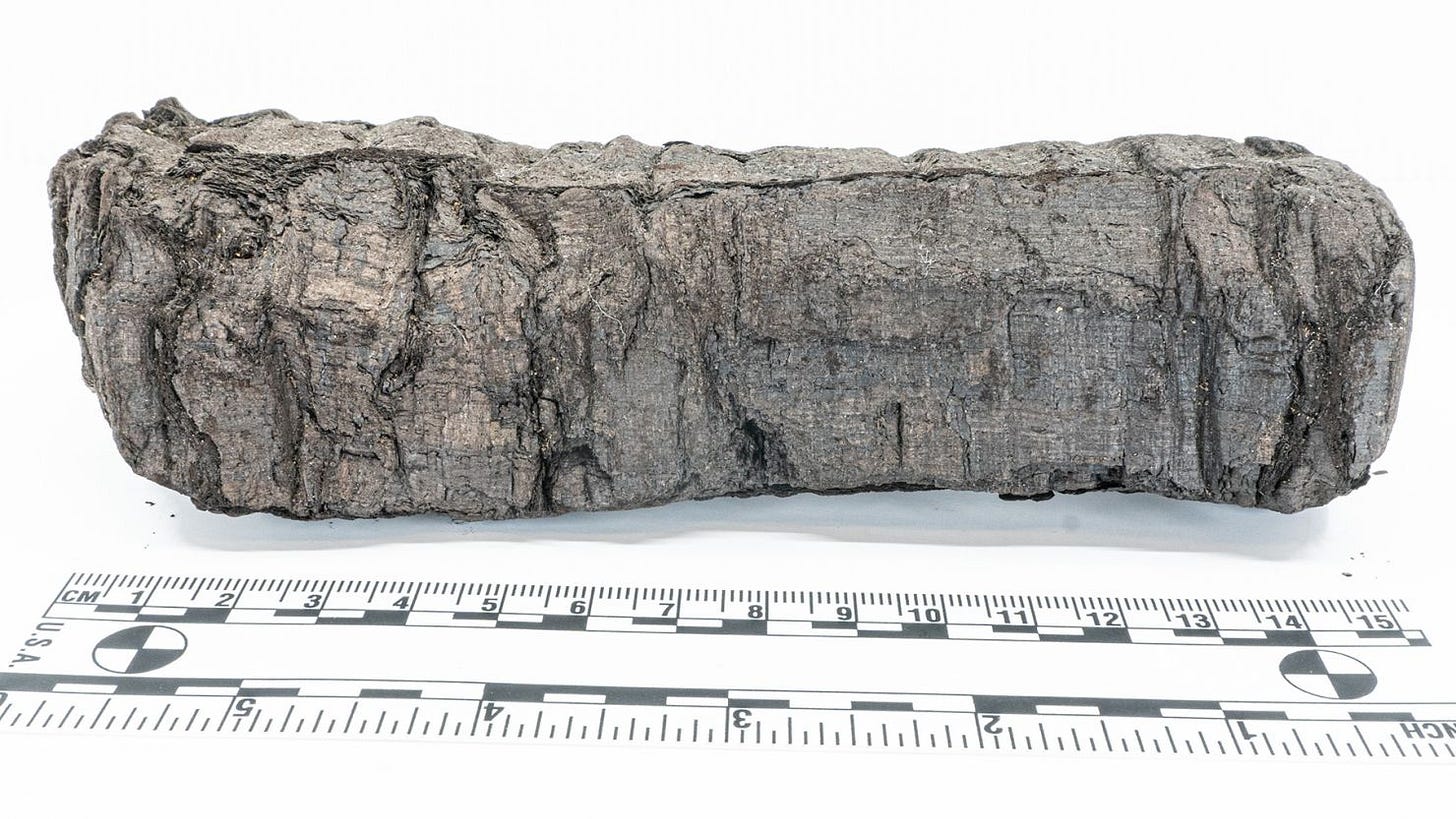 Scientists involved in the Vesuvius Challenge have recently scanned and released data from a fifth Herculaneum scroll, seen here. Scientists involved in the Vesuvius Challenge have recently scanned and released data from a fifth Herculaneum scroll, seen here.