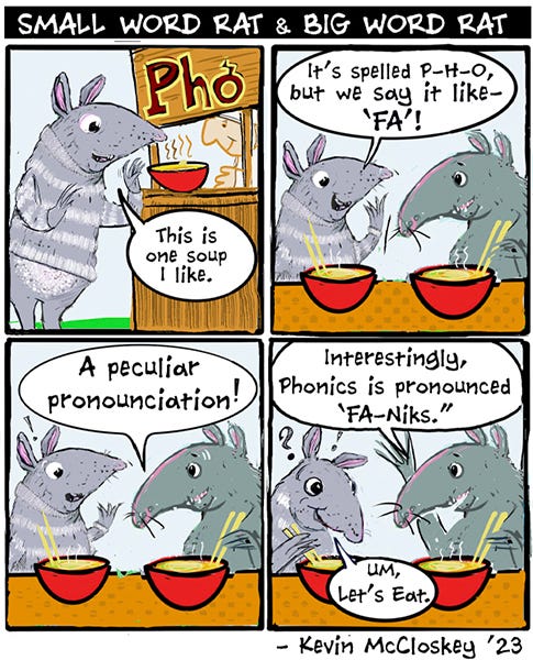 Two rats are eating Pho soup from a roadside stand. One rat says that pho is pronounced “Fa” but spelled “P.H.O.” The other rat says, “ Interestingly, phonics is pronounced “fa-nics” The other rat has a question mark over their head and says, “Let’s eat.”