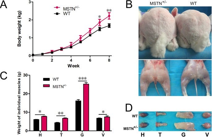 Efficient Generation of Myostatin Gene Mutated Rabbit by CRISPR/Cas9 |  Scientific Reports