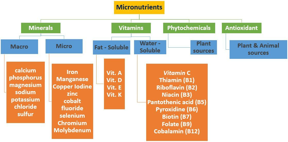 Fat Protein Carb's: Micronutrients