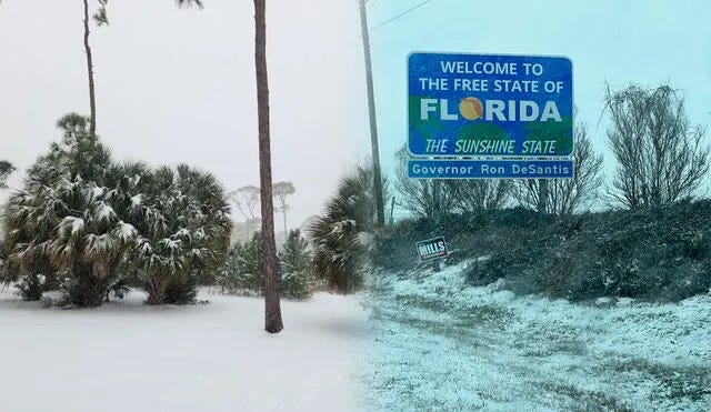 Florida, conocido por su clima cálido, enfrenta una tormenta invernal histórica que ha llevado nevadas a niveles nunca antes vistos en EE. UU. Foto: composición LR/ X / @davis_wx