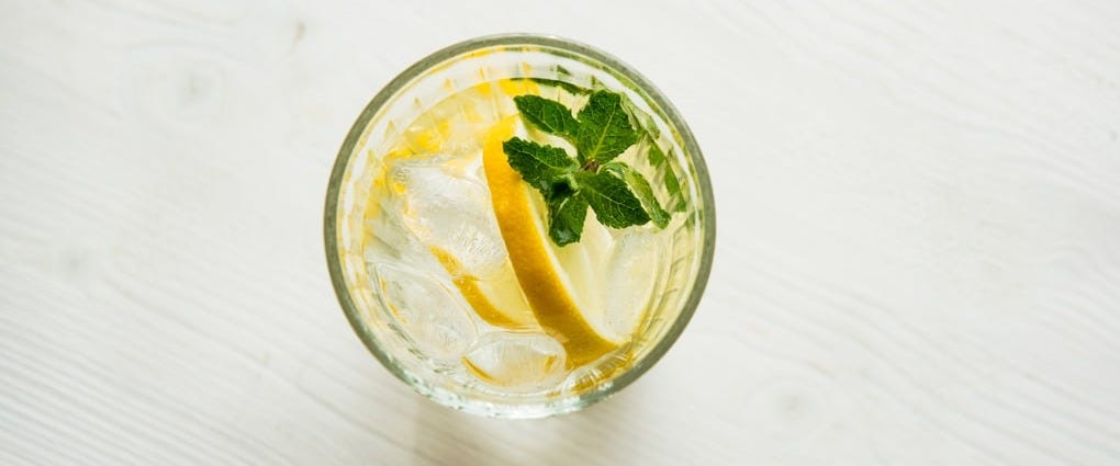 filled clear drinking glass with sliced citrus and green leaf vegetable