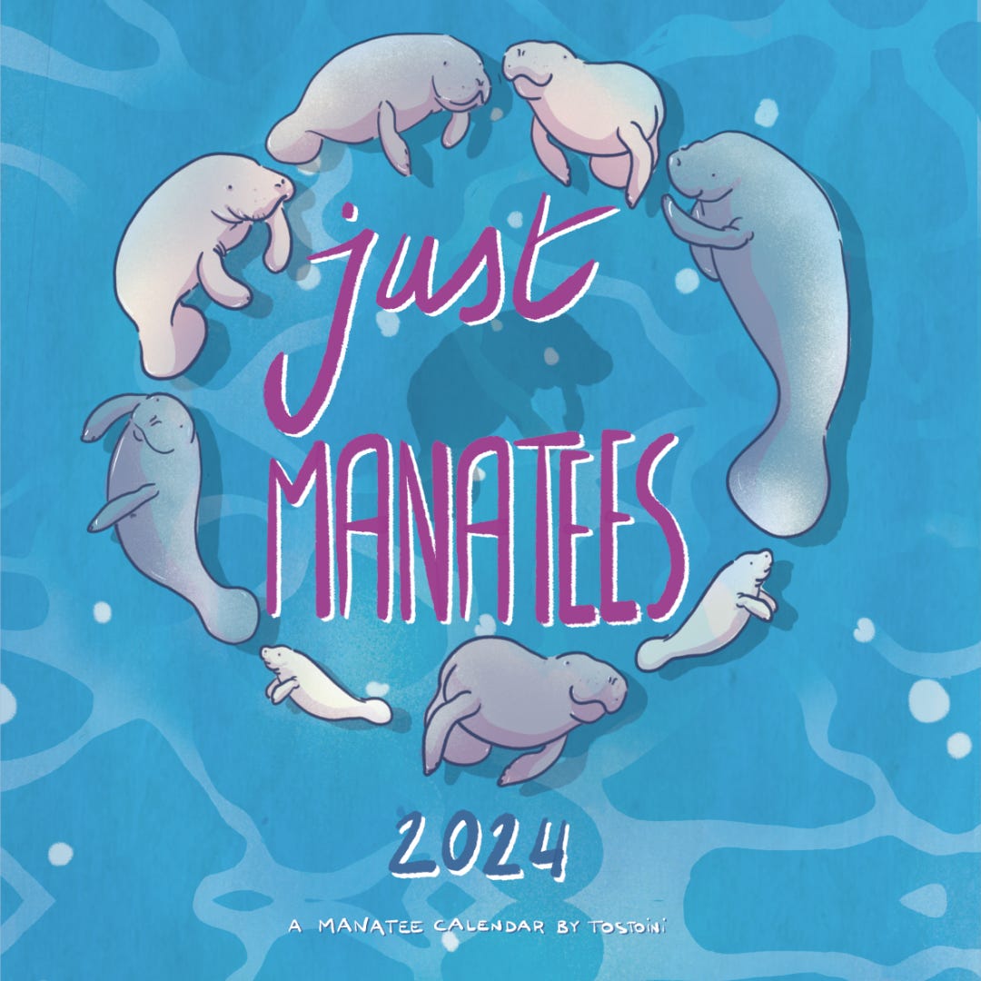 a circle of manatees surrounding the words "just manatees - a 2024 manatee calendar by tostoini" on a background of blue pristine water